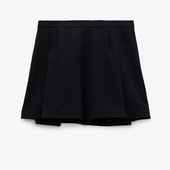 Zara Pleated Skirt - Picture 6 of 11